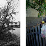 2005. Petre Lakic in the village of Cepurici. 2005. Petre Lakic in the village of Cepurici.