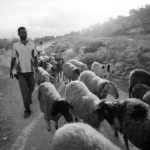 Murad Nofal, Jayyus. 2003 Murad Nofal, Jayyus. 2003