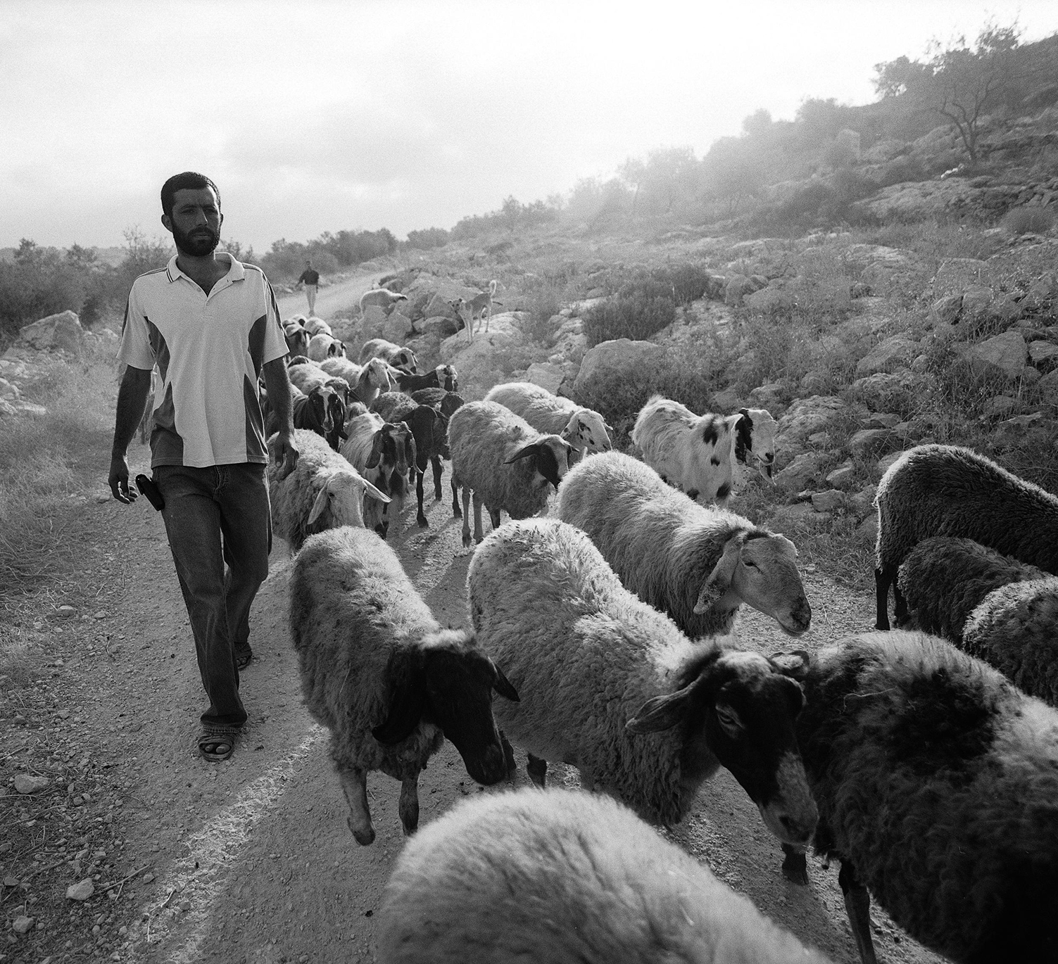 Murad Nofal, Jayyus. 2003 Murad Nofal, Jayyus. 2003