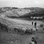 ISRAEL/PALESTINE: The separation barrier ISRAEL/PALESTINE: The separation barrier