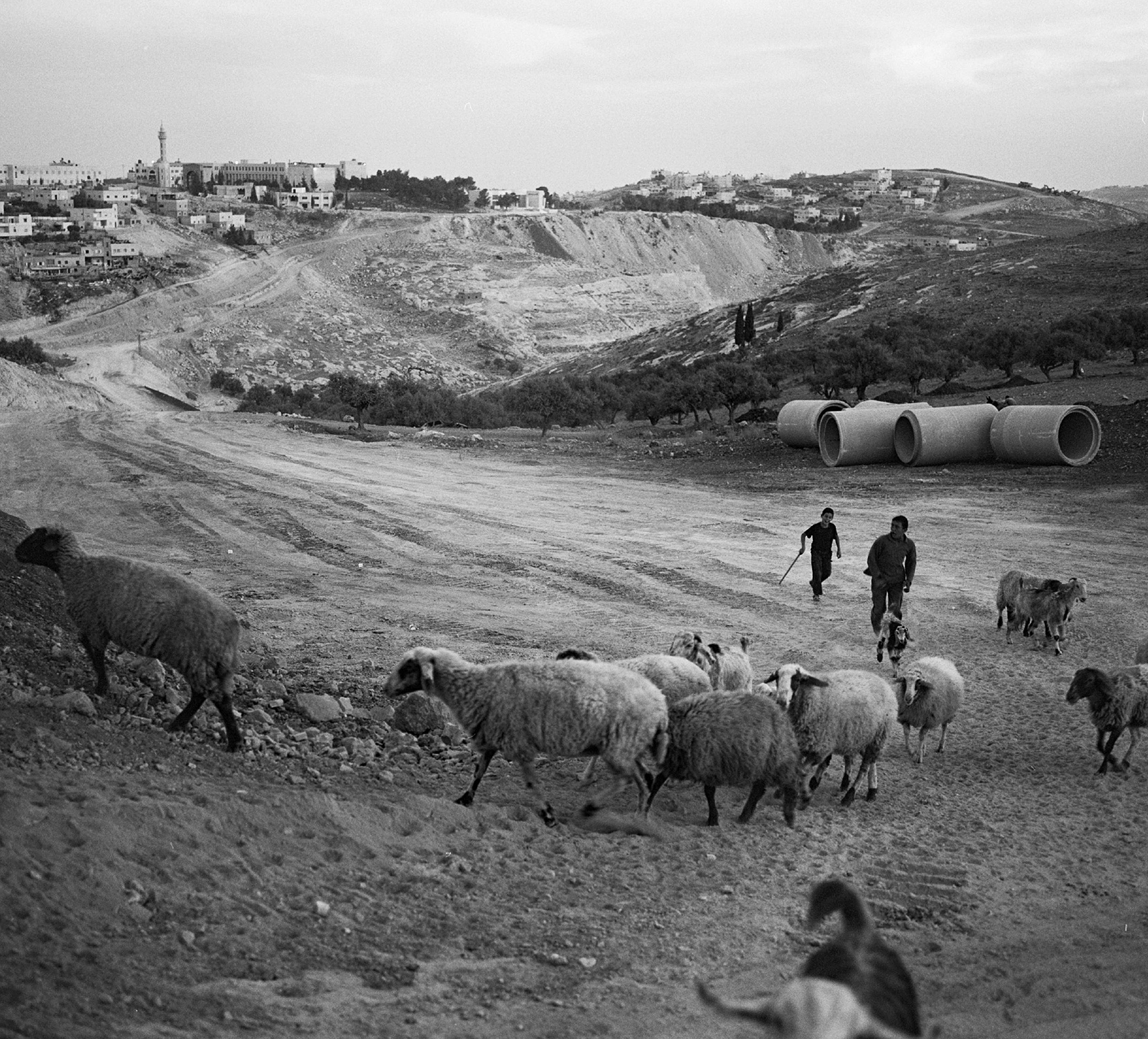 ISRAEL/PALESTINE: The separation barrier ISRAEL/PALESTINE: The separation barrier